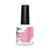 New New Gel Polish